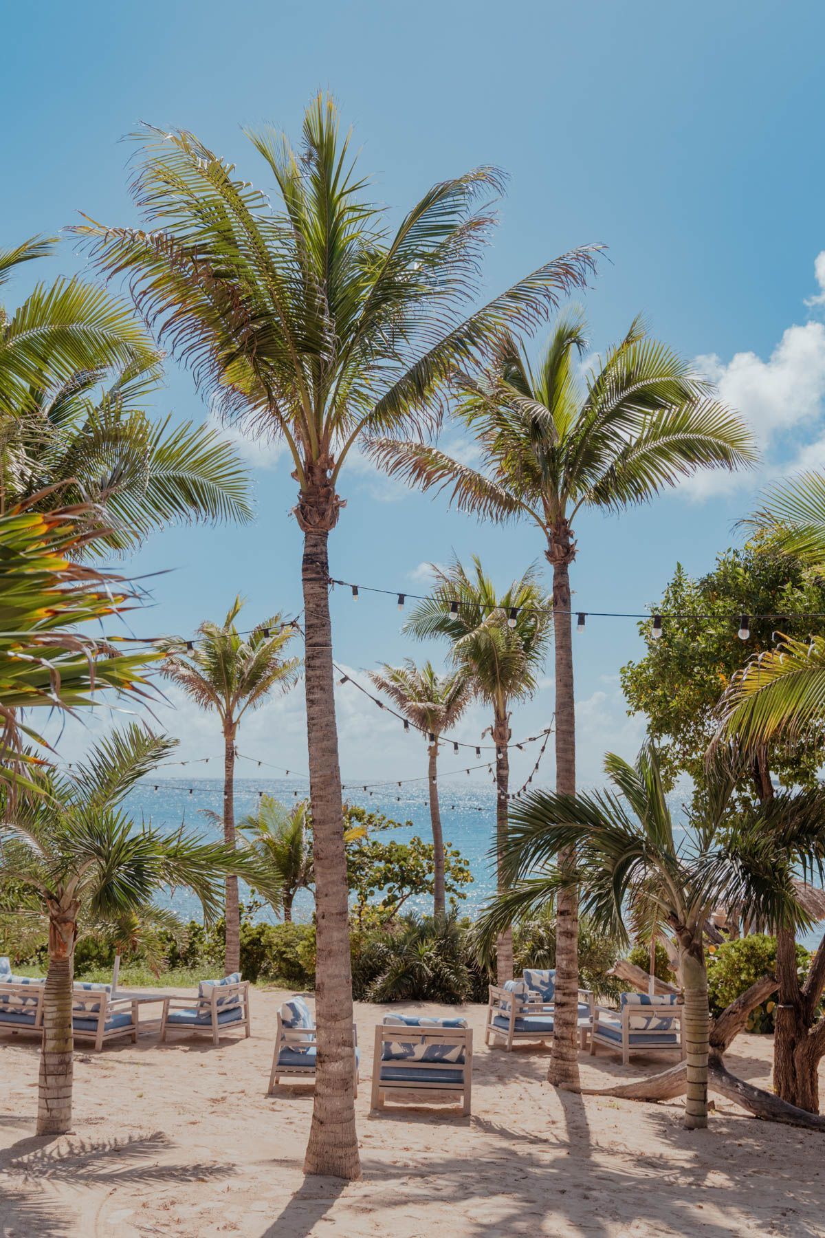 Image may contain Summer Palm Tree Plant Tree Nature Outdoors Sky Horizon Chair Furniture and Scenery