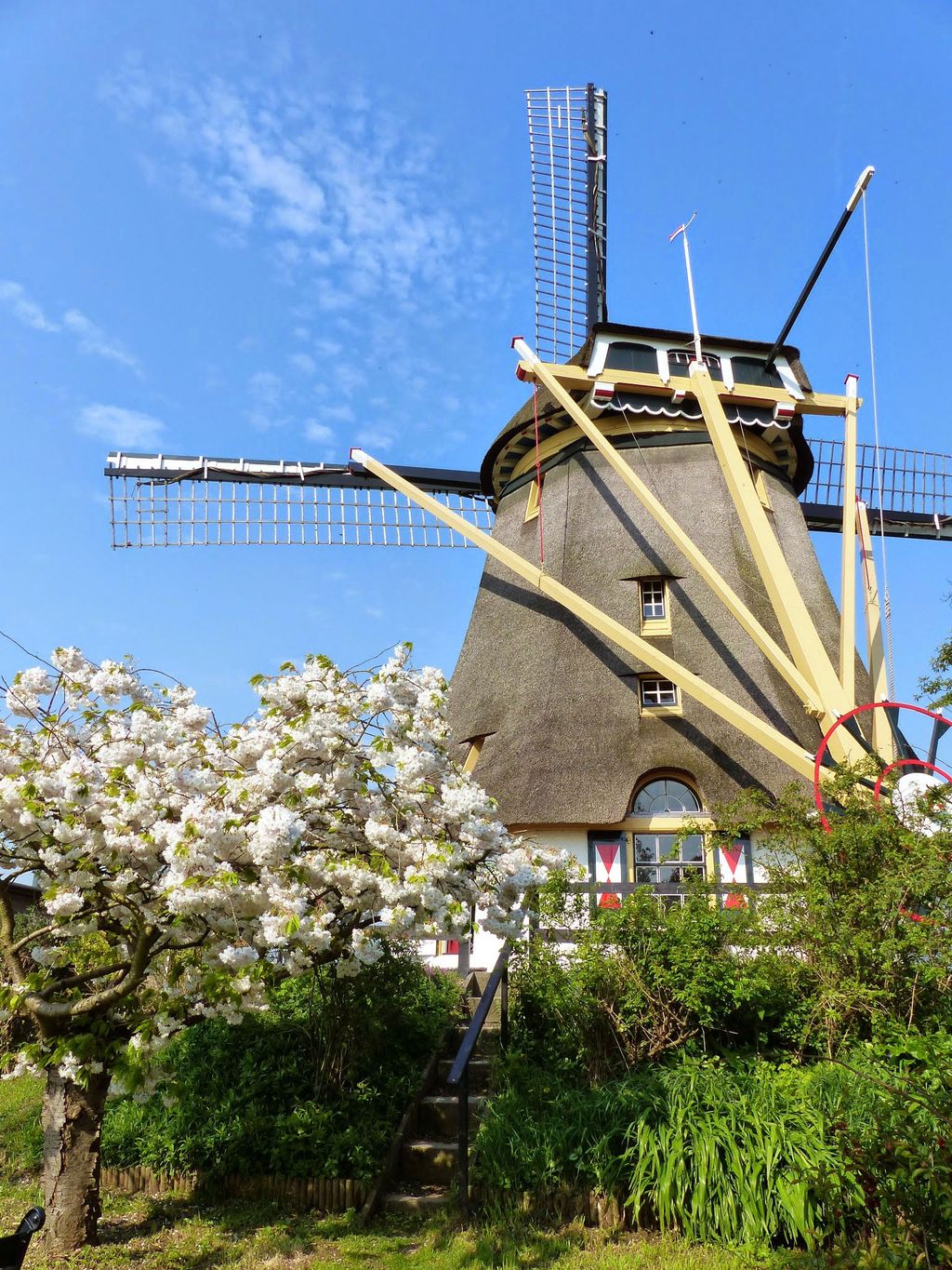 Windmill Airbnb Amsterdam