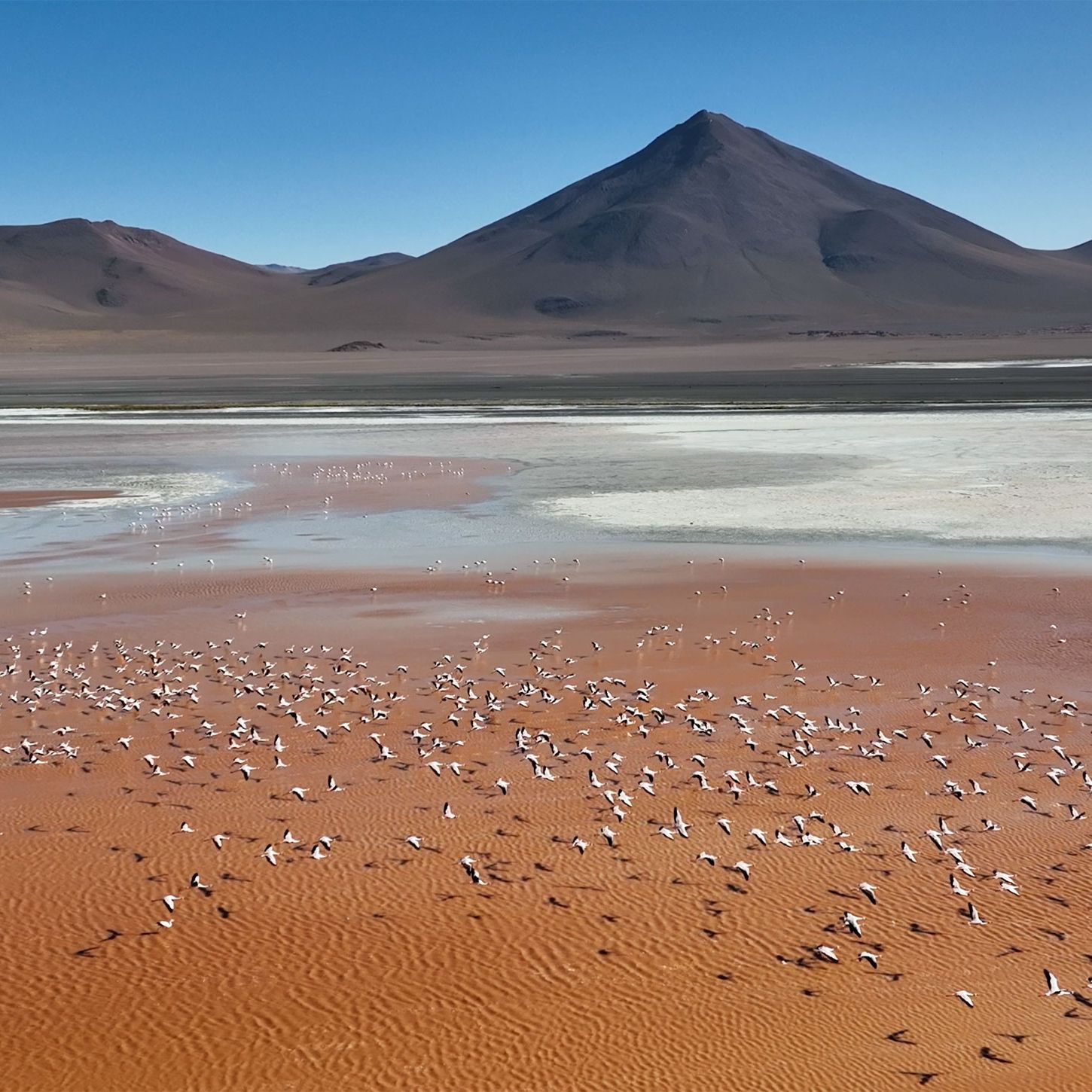 The Best Places to Go in 2026