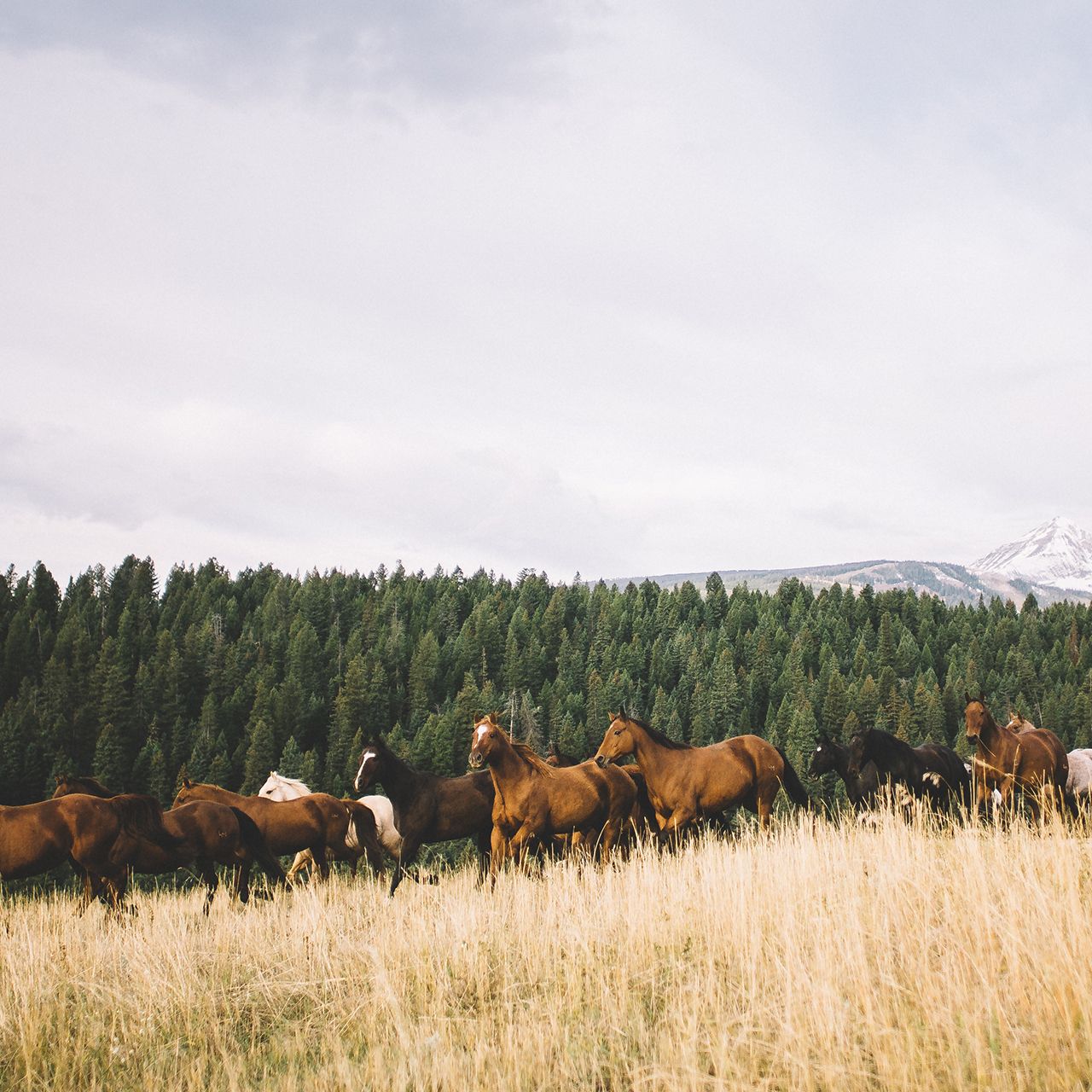 A small-town Colorado lodge and a century-old Montana ranch brought me back to nature. Then, back to myself.