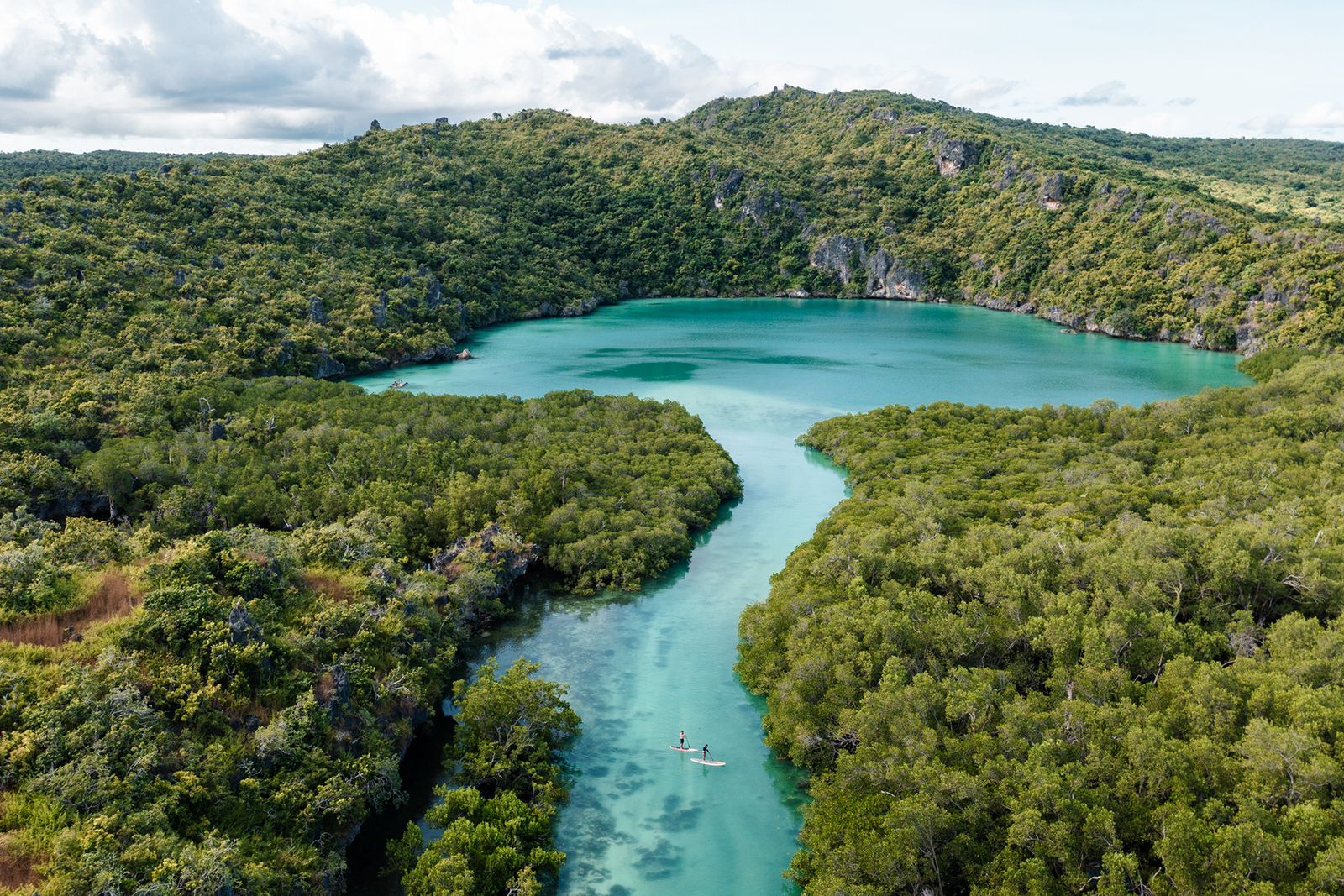 Image may contain Plant Vegetation Nature Outdoors Land Tree Woodland Water Rainforest Aerial View Sea and Lake